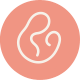 Favicon Wochenbett Hebamme Lara Werren